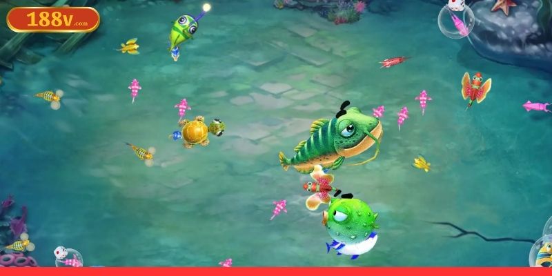 Áp dụng các mẹo săn cá lớn dễ trúng 