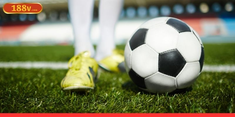 Các mẹo hay nhất được tổng hợp